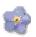 Forget-Me-Not